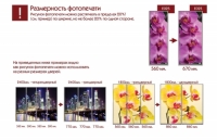 Каталог фасадов фотопечати на шкафы-купе МС