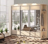 Заметки владельца зеркальных дверей