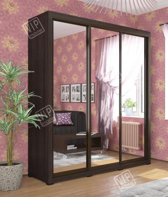 Шкаф-купе Домино 3Д 2,22м