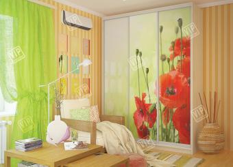 Шкаф-купе 3Д 2,22м(600) foto 4