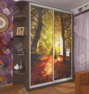 Шкаф-купе 2Д 1,0м (600) foto 13