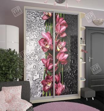 Шкаф-купе 2Д 1,7м (450) foto 9