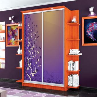 Шкаф-купе 2Д 1,1м МС