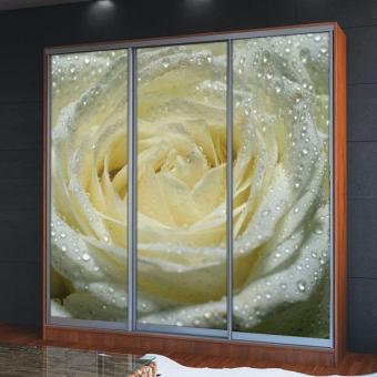 Шкаф-купе 3Д 1,8м МС