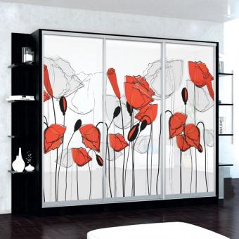 Шкаф-купе 3Д 2,3м МС