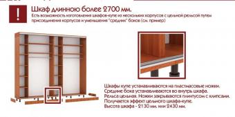 Шкаф-купе 3Д 2,6м МС foto 38