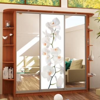 Шкаф-купе 3Д 2,6м МС