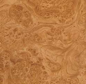 Корень 28мм глянец L