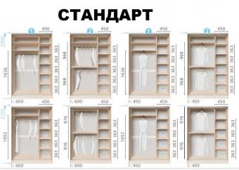 Шкаф-купе Киевский стандарт 2Д 1,7м