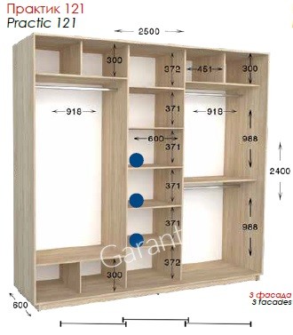 Шкаф-купе Практик 121 3Д 2,5м
