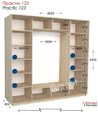 Шкаф-купе Практик 123 3Д 2,5м