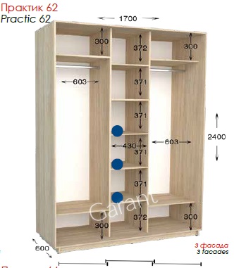 Шкаф-купе Практик 62 3Д 1,7м practic62